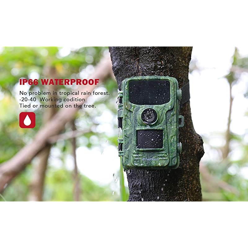 Security Camera WiFi IP Home CameraR2C 1080P HD Baby Monitor Wireless Pet Camera with AI Human Sound Detection Free Cloud Included 2Way AudioWorks with Alexa PanTilt Night Vision