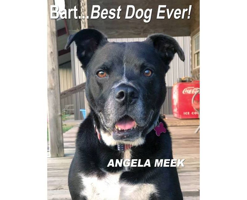 Bart...Best Dog Ever! - by  Angela Meek (Hardcover)