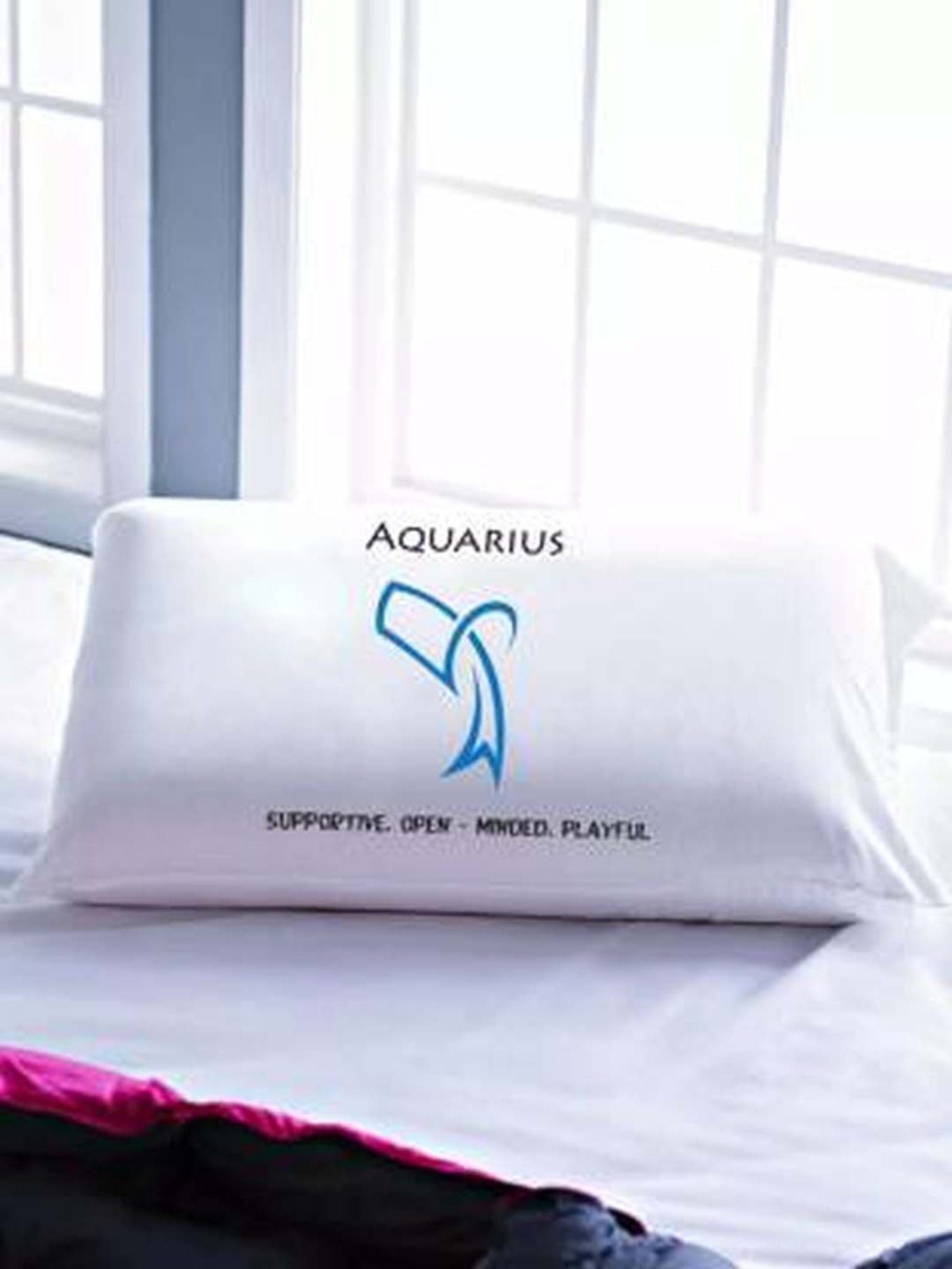 Stoa Paris White & Aqua Cotton 200 TC Pillow Cover - Set of 1