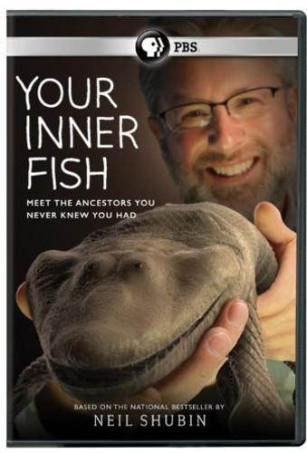 PBS YOUR INNER FISH (DVD) DYOIF601D