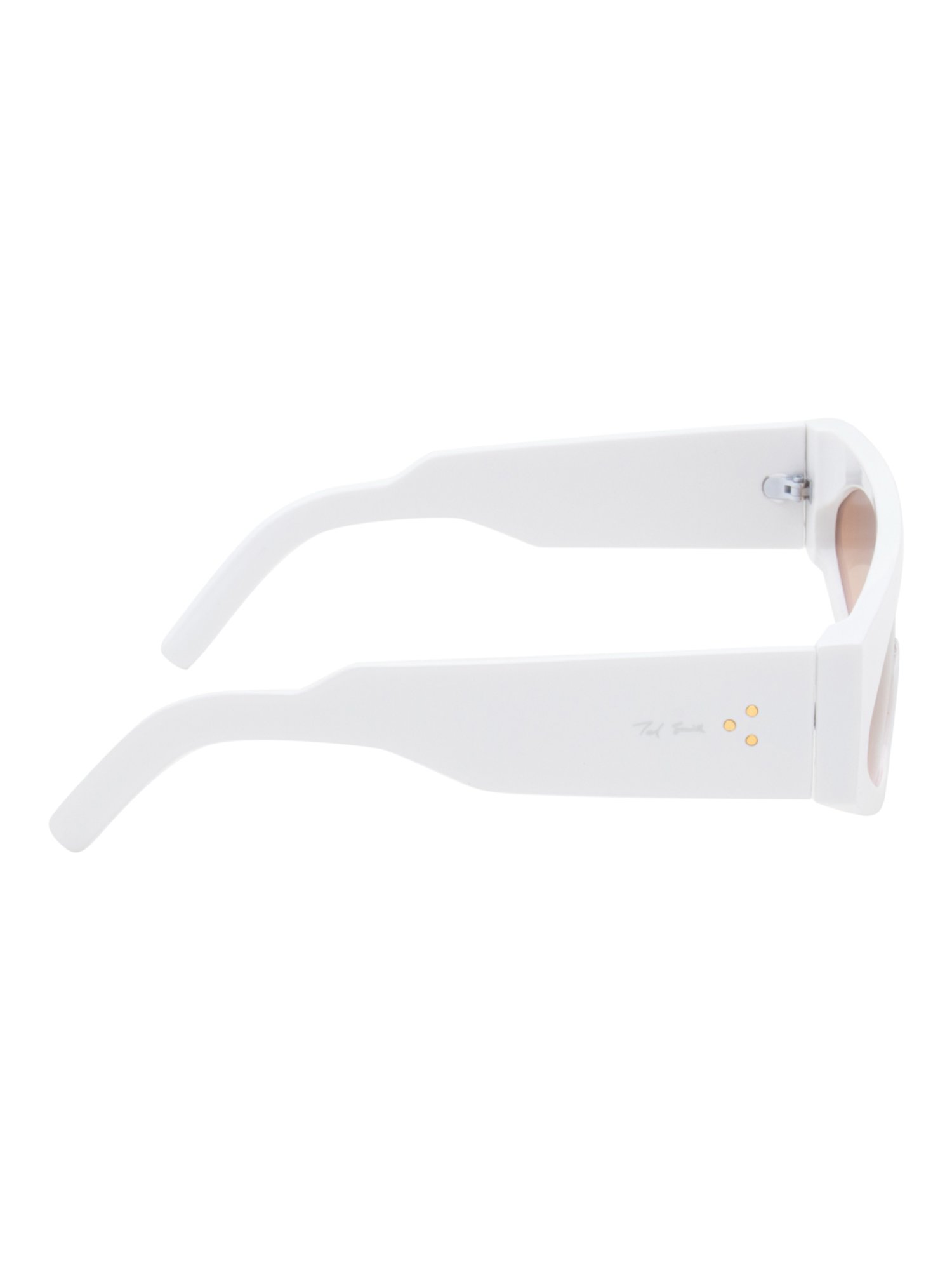 Ted Smith Brown Square UV Protection Unisex Sunglasses