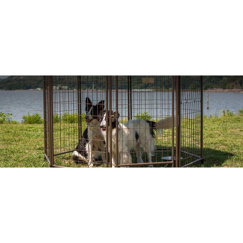 dbest products Pet Smart Cart Carrier Crate Kennel Cage Bag with Wheels and Padded Bed for Airline Airplane Travel with Cats and Dogs, Medium (Black)