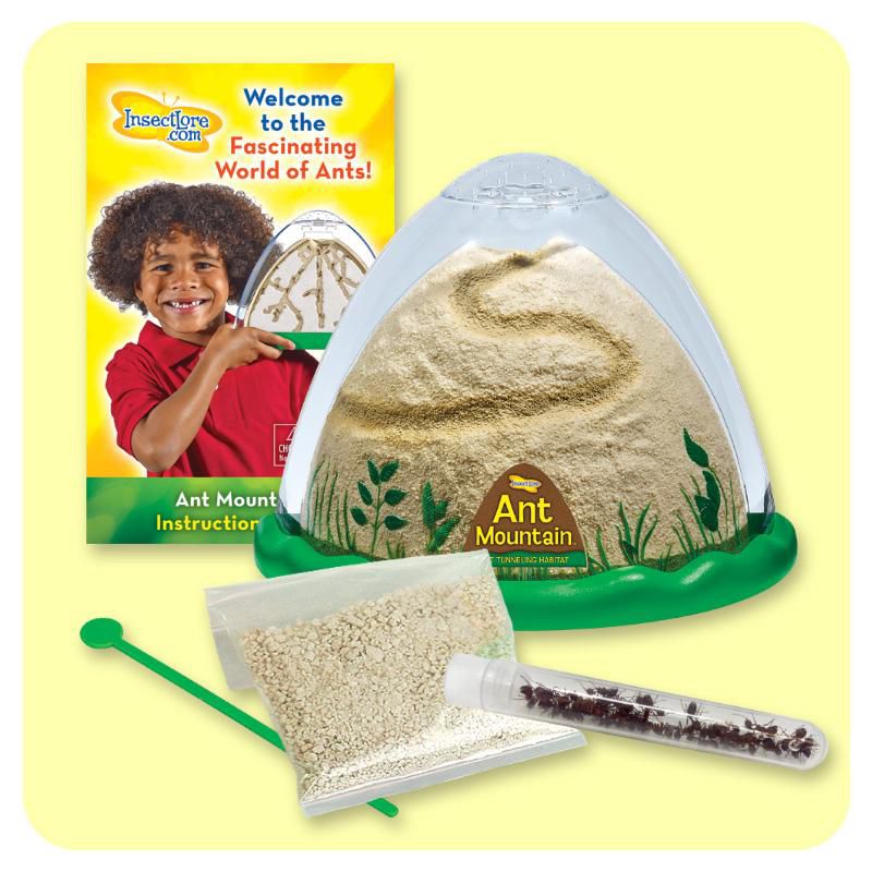 Insect Lore Ant Farm Mountain with Double Sided Viewing Area, Includes Coupon for Live Ants