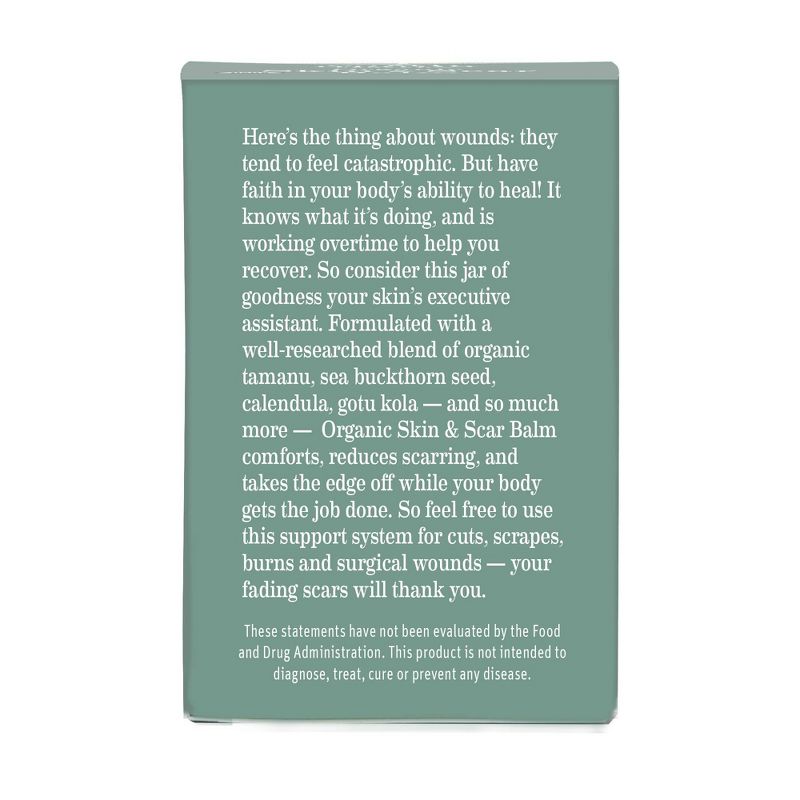 Earth Mama Organics Skin & Scar Balm 1 fl oz