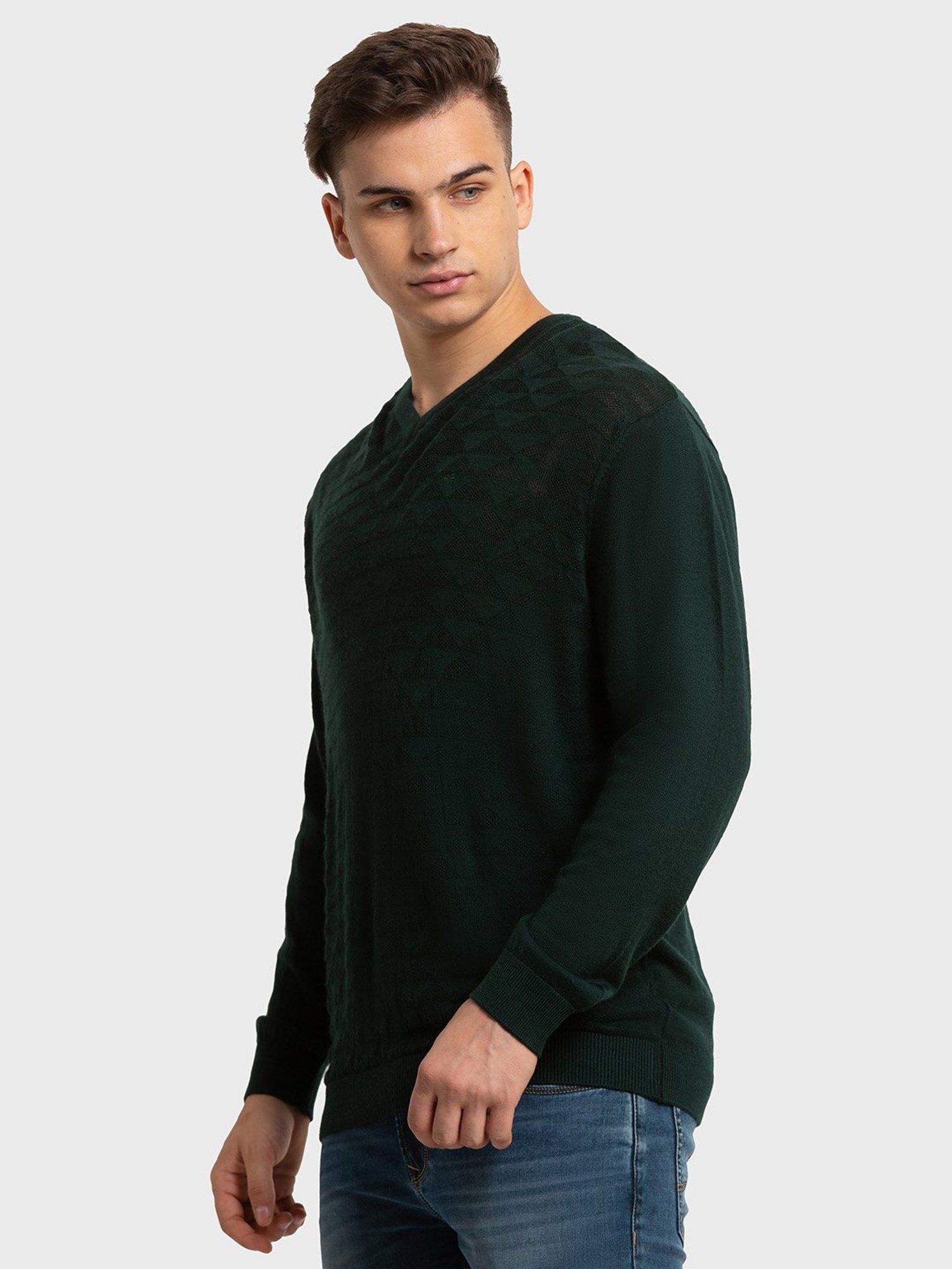 ColorPlus Green Tailored Fit Self Pattern Sweaters
