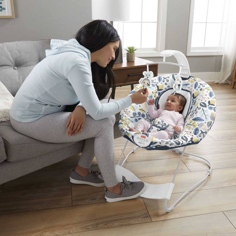 ​Fisher-Price Baby Bouncer