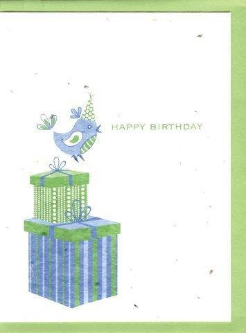 Grow A Note&reg; Happy Birthday Bird Cards 4-pack