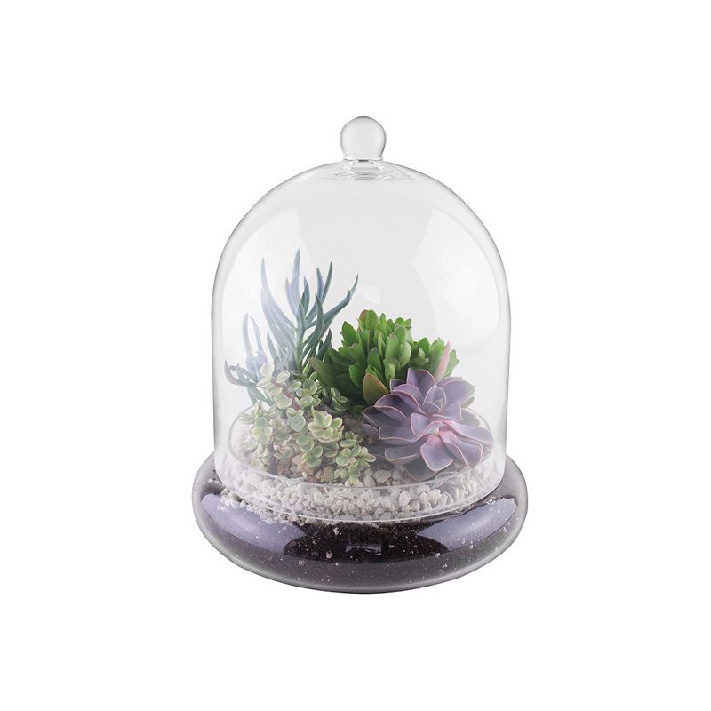Syndicate Home Gardens Indoor or Patio Round Glass Terrarium Cloche with Built In Air Holes, 10 x 11.38 Inches