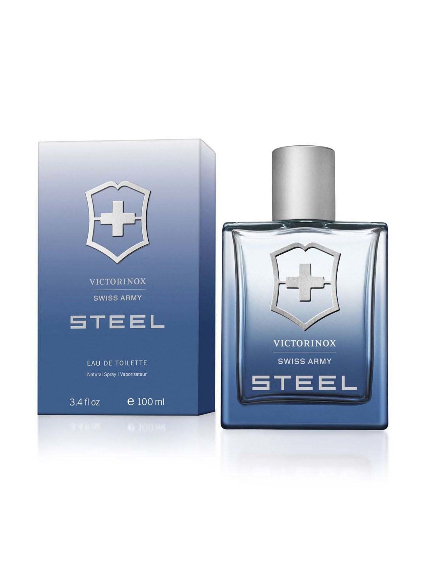 Steel Eau de Toilette for Men - 100 ml