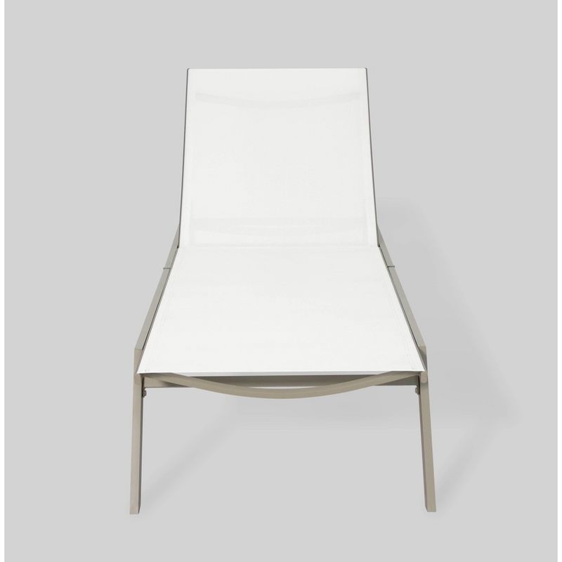 Princeton 2pk Outdoor Chaise Lounges - Ostrich