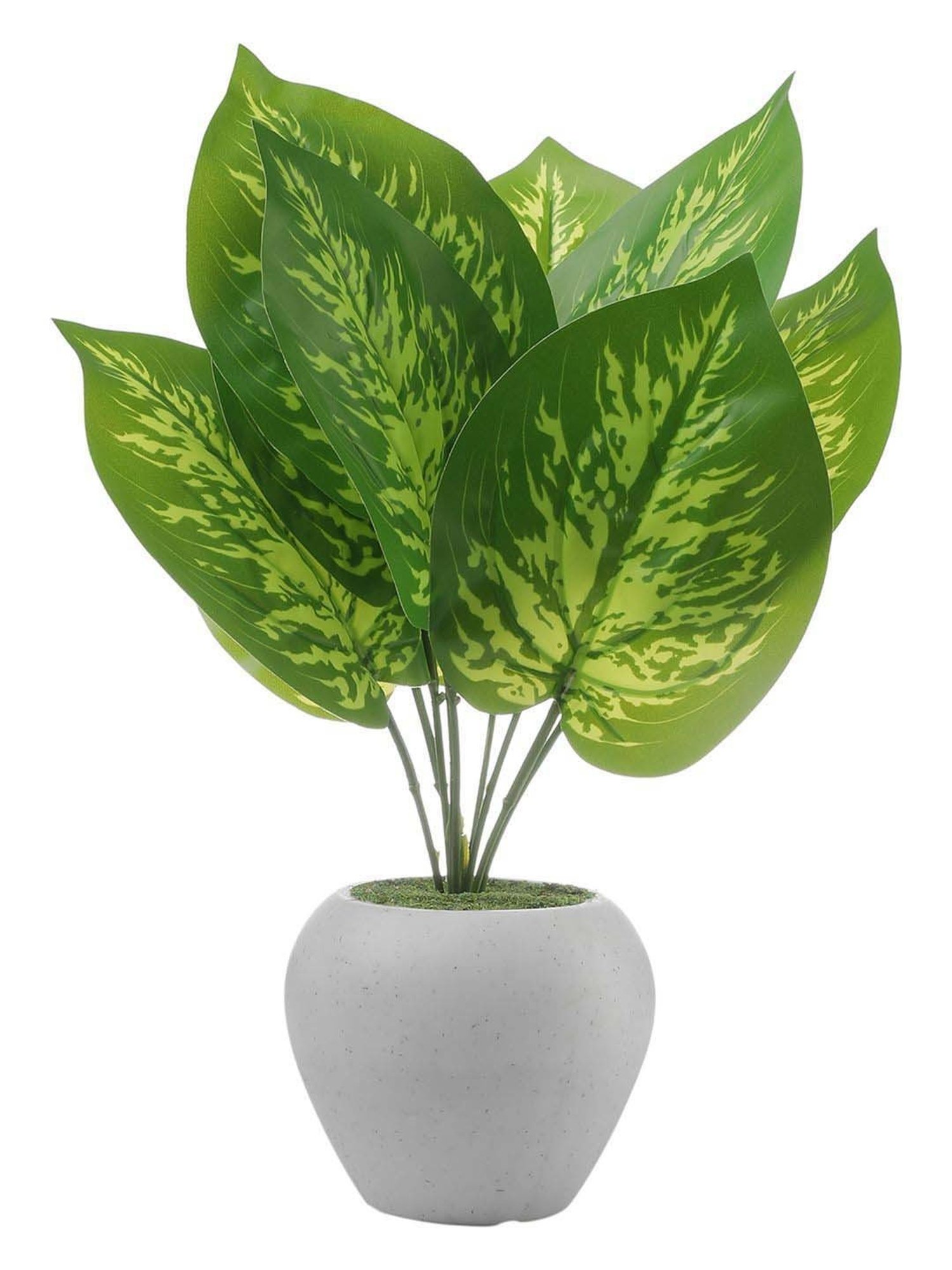 Foliyaj Multicolor Plastic Artificial Money Plant With Apple Shaped Pot