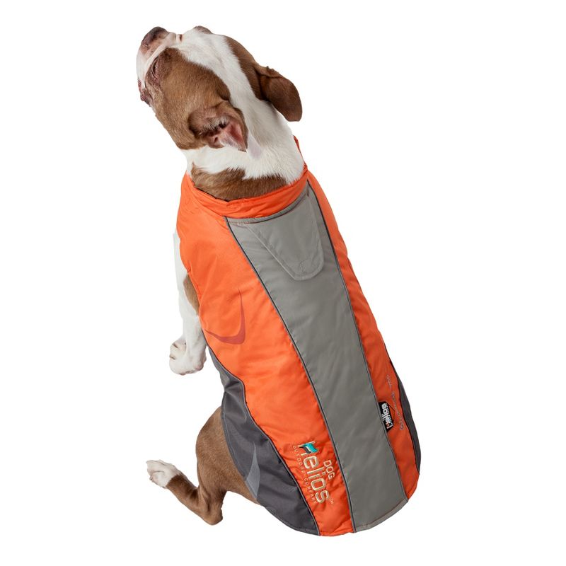 Pet Apparel Dog Helios - S - Orange