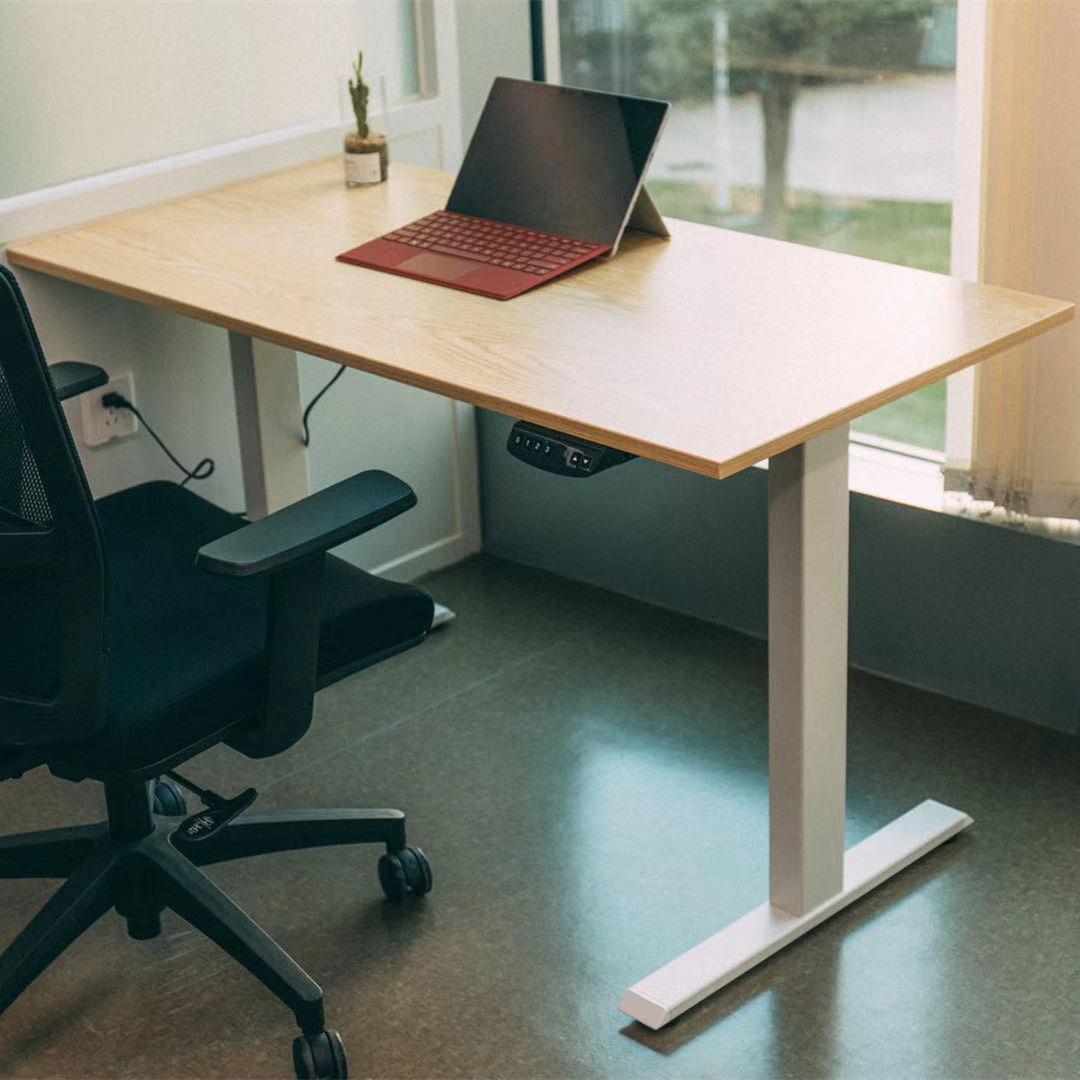 Electric Gaming Computer Desk Home Office Desk Height Adjustable Standing Desk With Dual German OKIN Motor White 47.2"Lx23.6"Wx28.3''-48''H