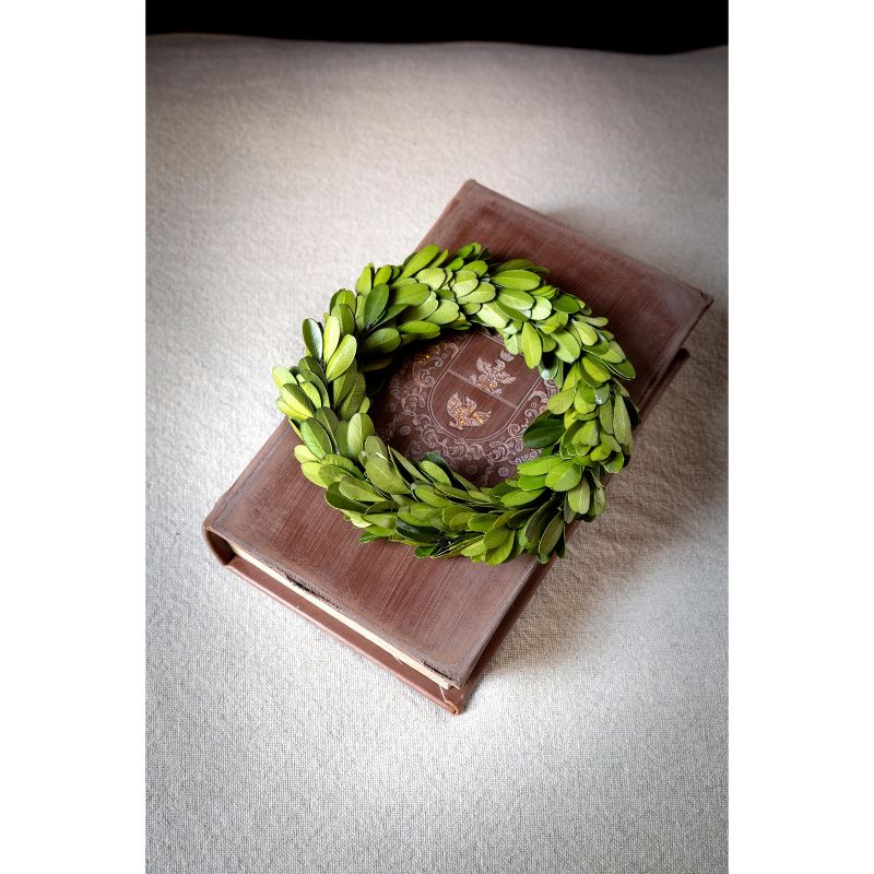 Park Hill Collection Mini Preserved Boxwood Wreaths  Set of 6