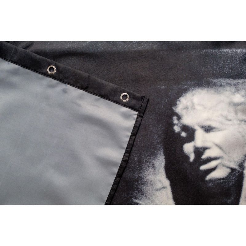 Robe Factory LLC Star Wars Han Solo In Carbonite Shower Curtain | 71 x 71 Inches