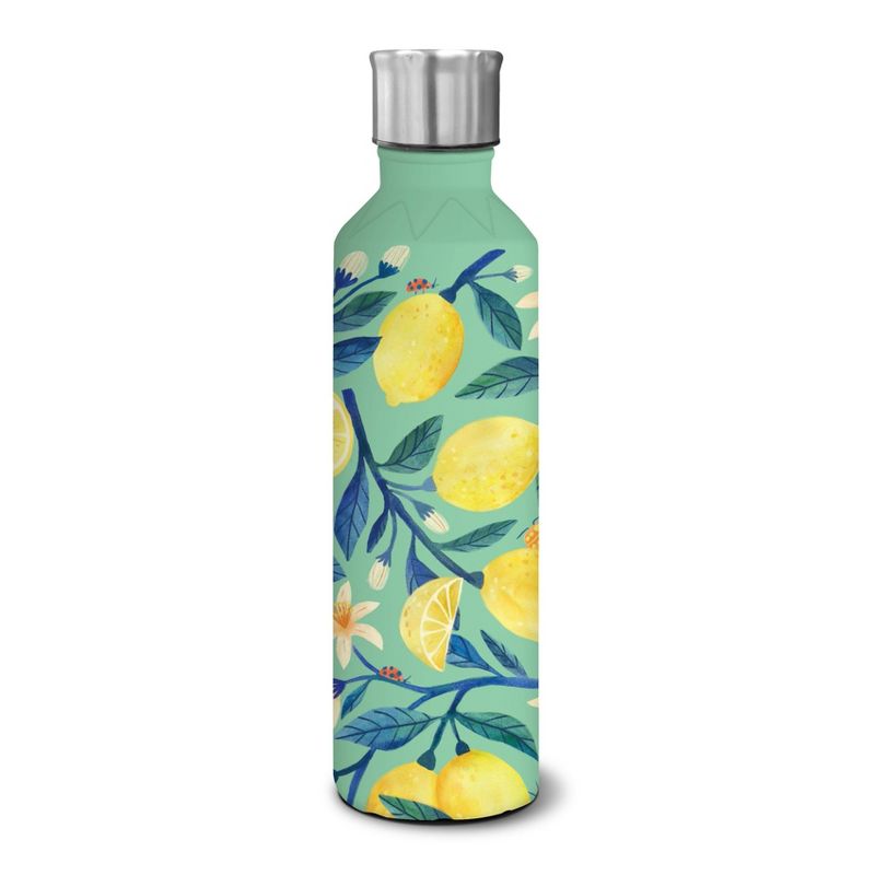OCS Designs 17oz Stainless Steel Bottle - Mint Citrus
