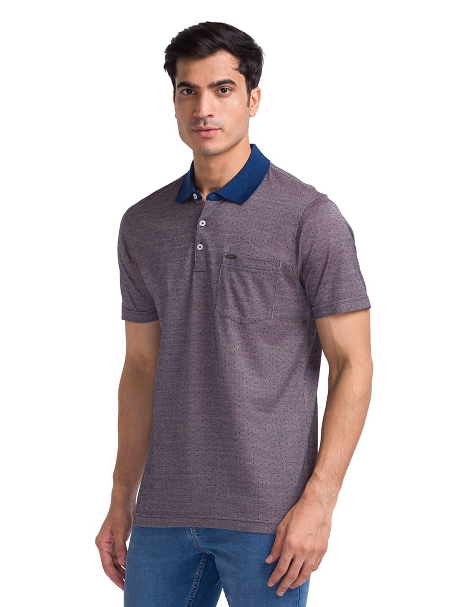 Park Avenue Red & Blue Cotton Slim Fit Self Pattern Polo T-Shirt