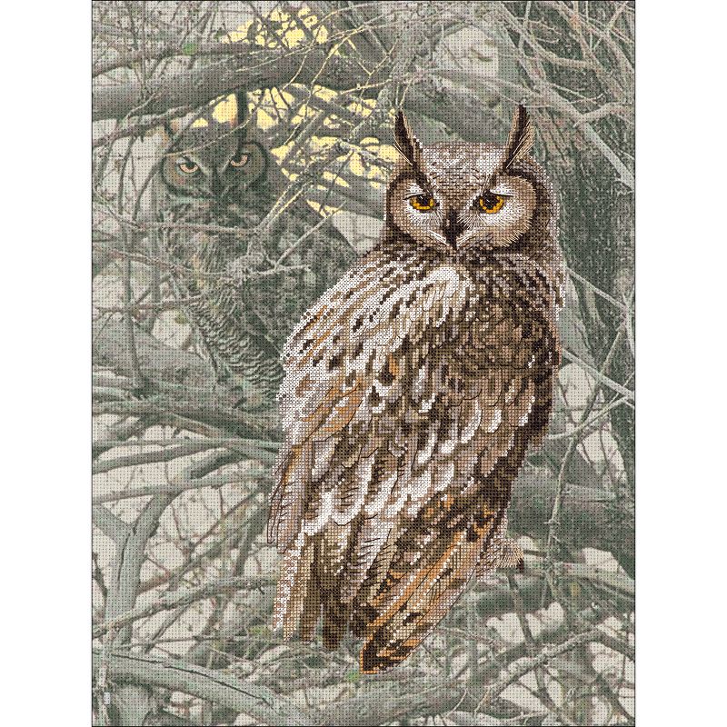 RIOLIS Stamped Cross Stitch Kit 11.75"X15.75"-Eagle Owl (14 Count)