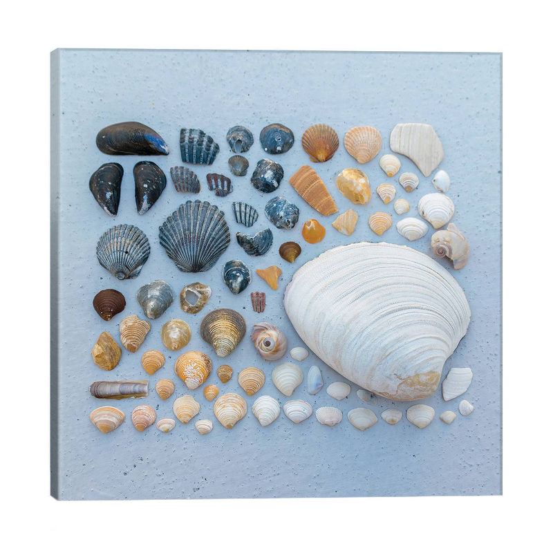 Sally Sells Sea Shells and I Bought 'Em by Alex Tonetti Unframed Wall Canvas - iCanvas
