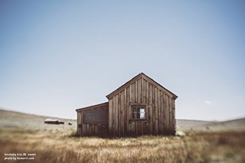 Lensbaby Trio 28 for Micro 4/3 - Ultra Compact 28mm f/3.5 Lens w/3 Focus Select