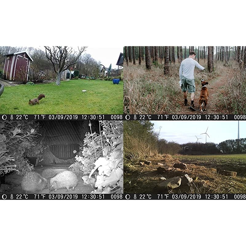 Security Camera WiFi IP Home CameraR2C 1080P HD Baby Monitor Wireless Pet Camera with AI Human Sound Detection Free Cloud Included 2Way AudioWorks with Alexa PanTilt Night Vision