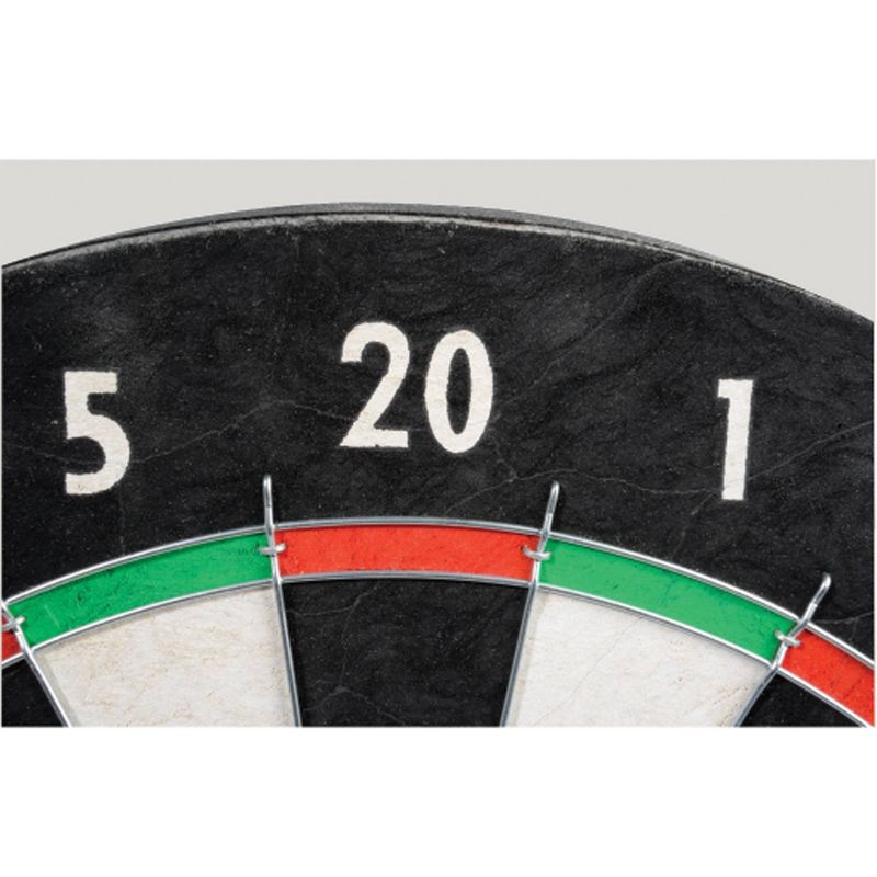 Franklin Sports 18" Steel Tip Dartboard