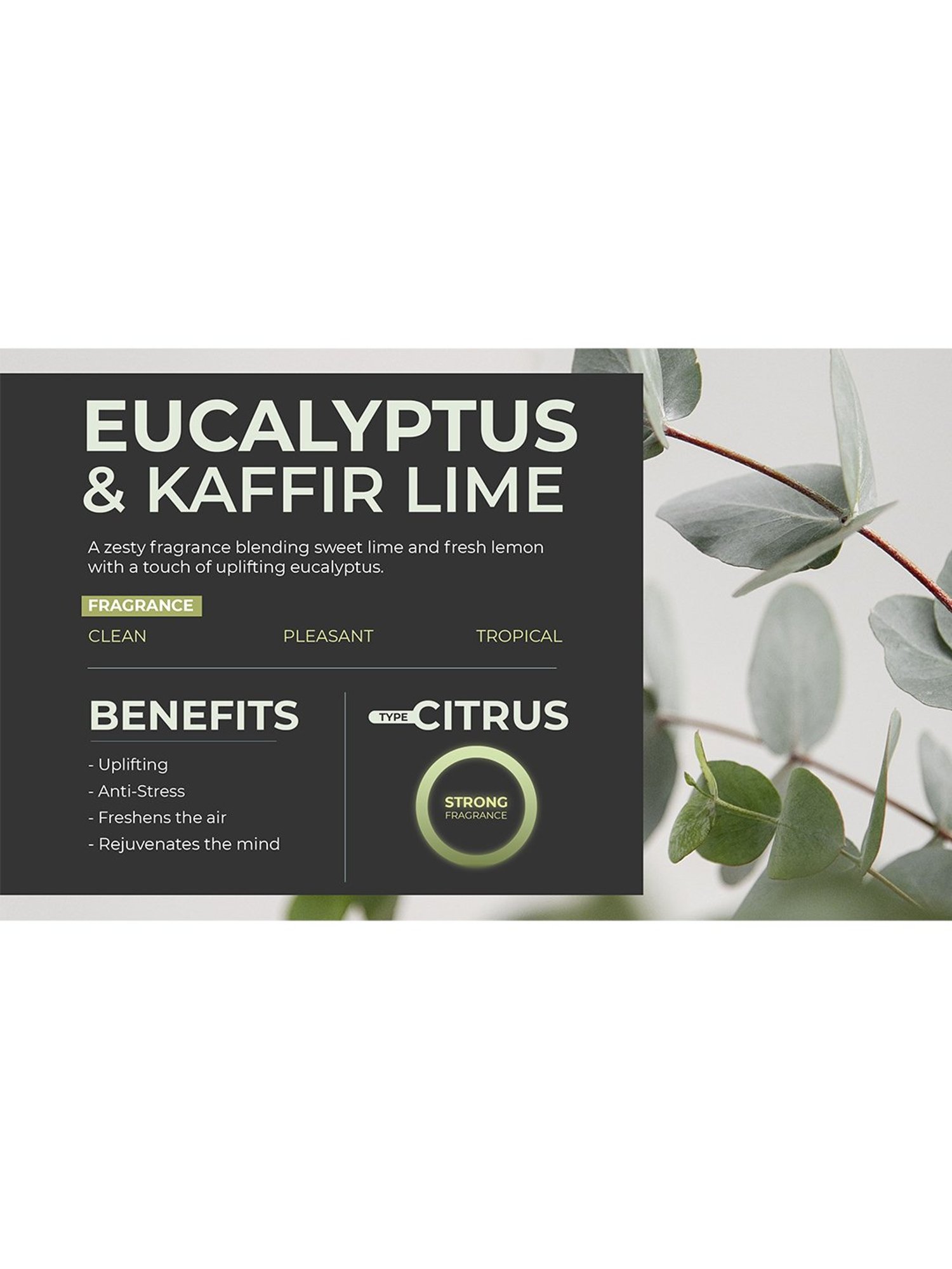 Rosemoore Aroma diffuser Burner Oil Eucalyptus & Kaffir Lime - (1000 ml)