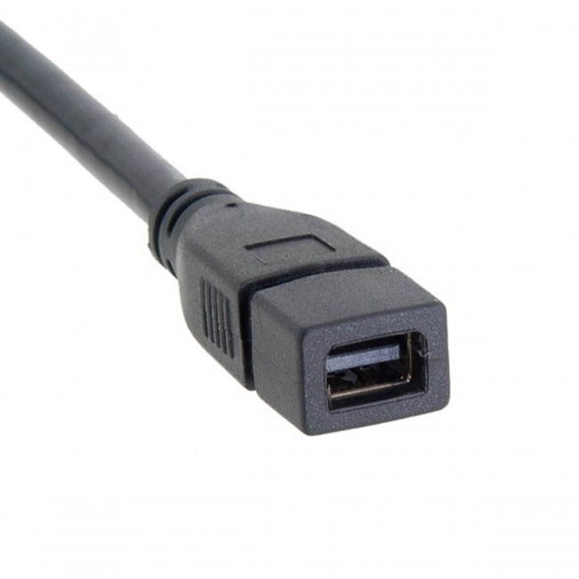 Jimier DP DisplayPort Male to Mini DP DisplayPort Female Cable 20cm for Displays HDTV Monitor DP-048-BK