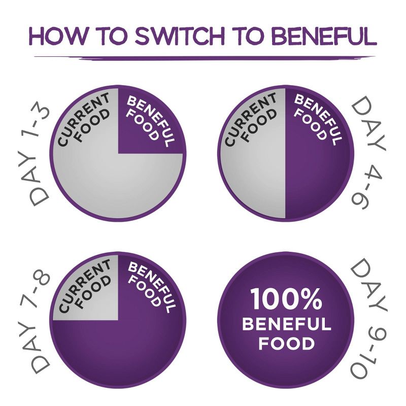 Purina Beneful Playful Life with Real Beef Adult Dry Dog Food - 14lbs