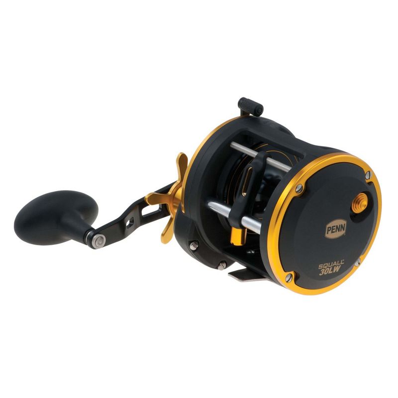 Penn SQL30LW Squall Levelwind Lightweight Saltwater Fish Trolling Fishing Reel, Black & Gold