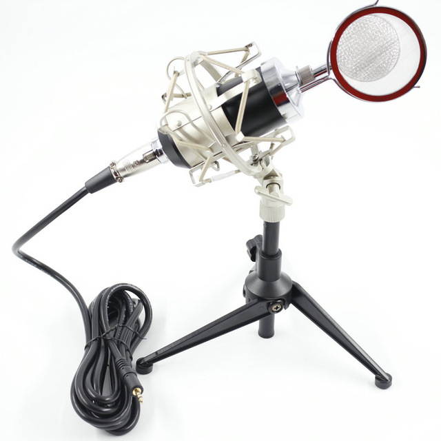 BM 8000 Professional Condenser Microphone bm8000 Audio Studio Vocal recording for Computer karaoke