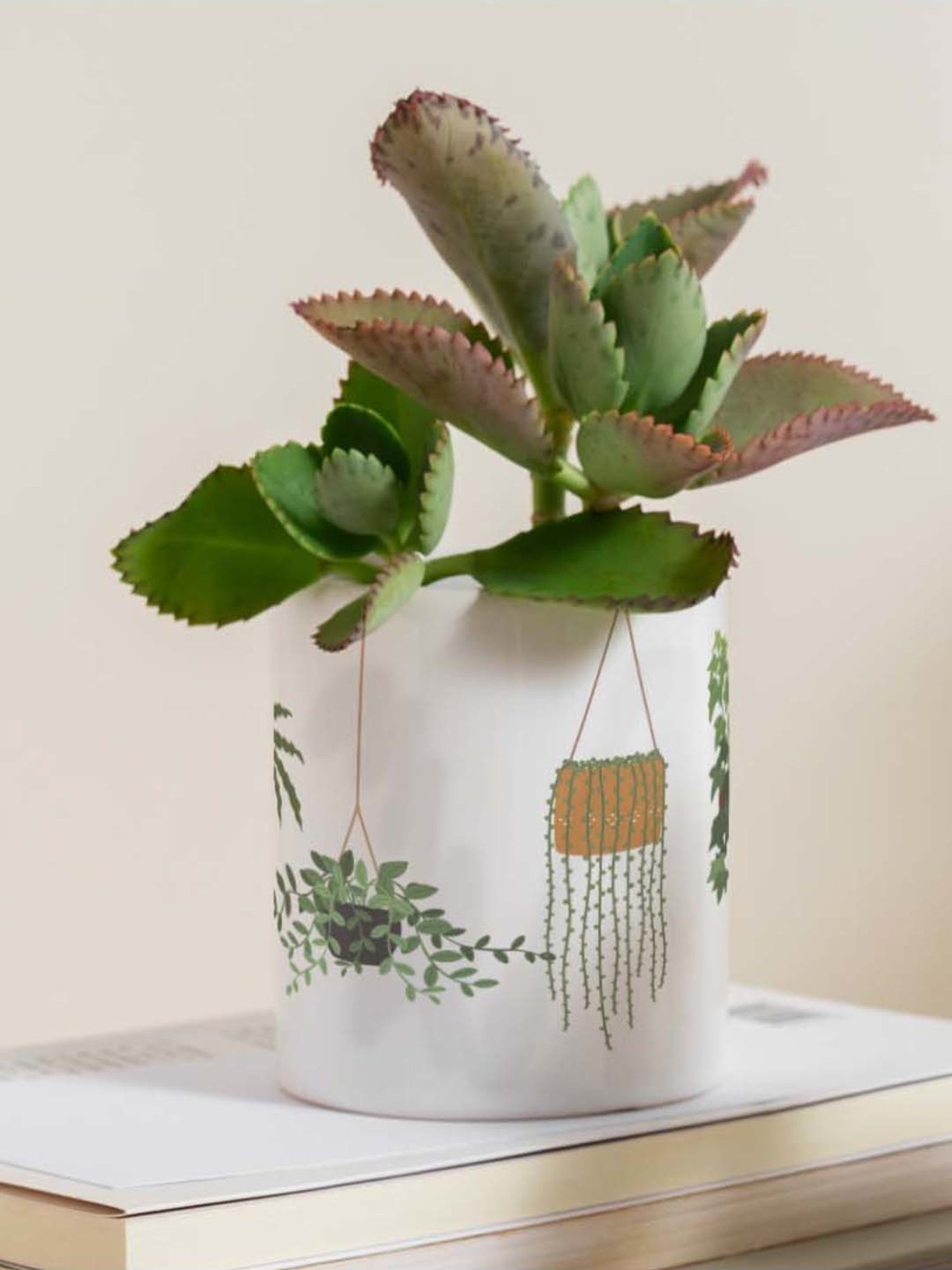 Gathari White & Green Ceramic Desk Planter
