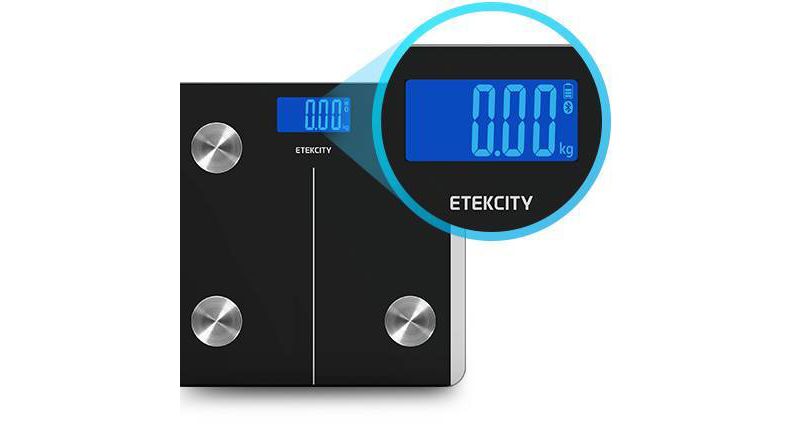 Glass Digital Scale with Stainless Steel Accents Green - Taylor