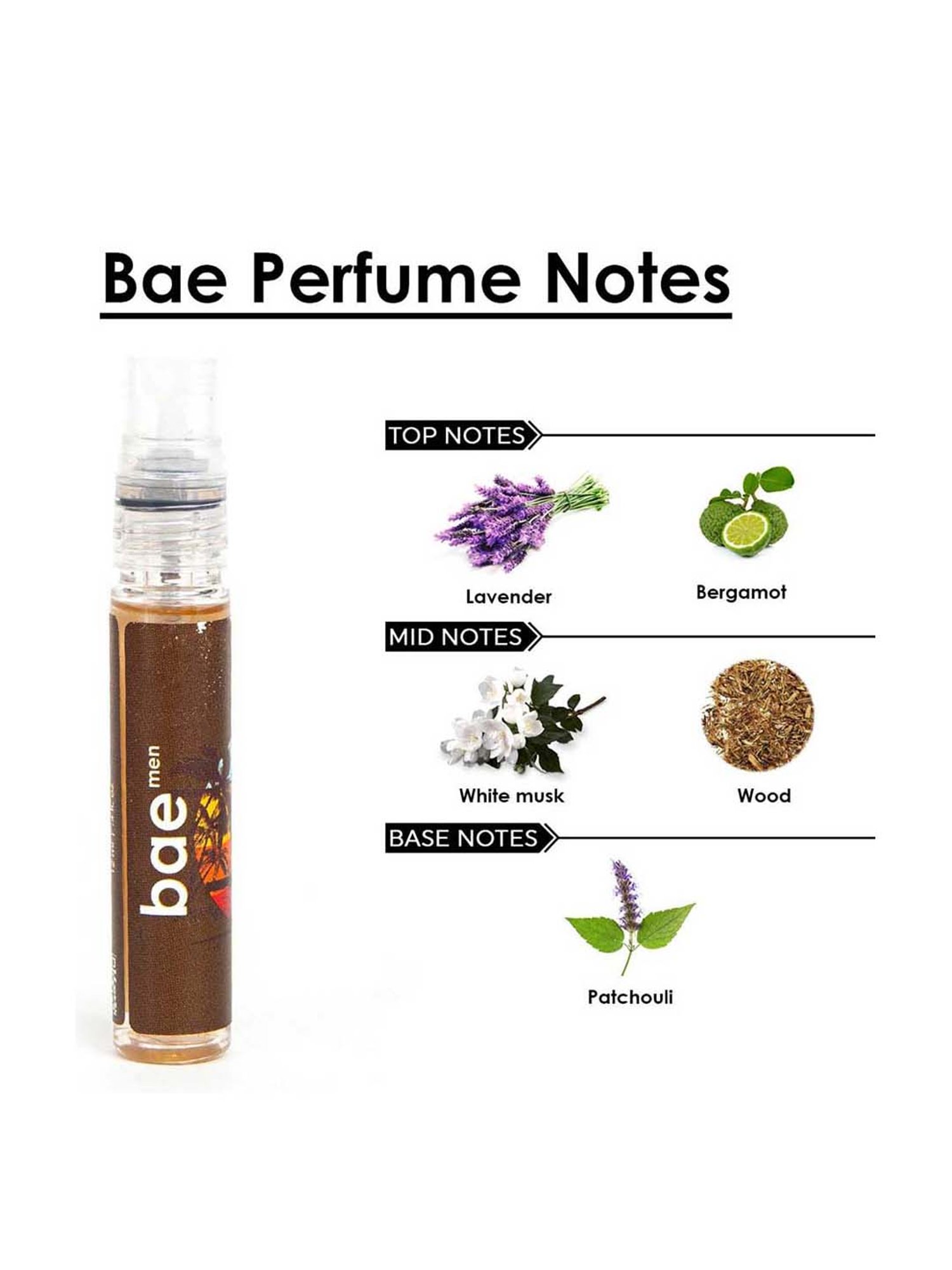 Adiveda Natural Perfume Sample Set of 11 for Men