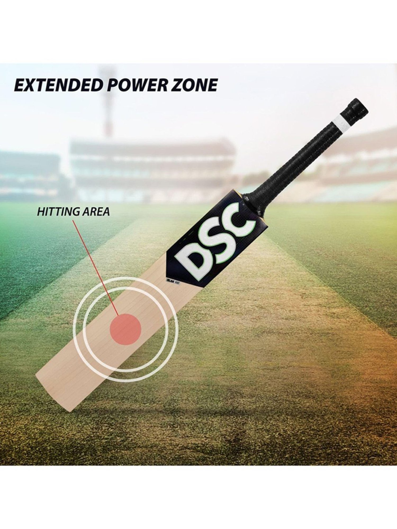 DSC BLAK 300 English Willow Cricket Bat Size - Mens