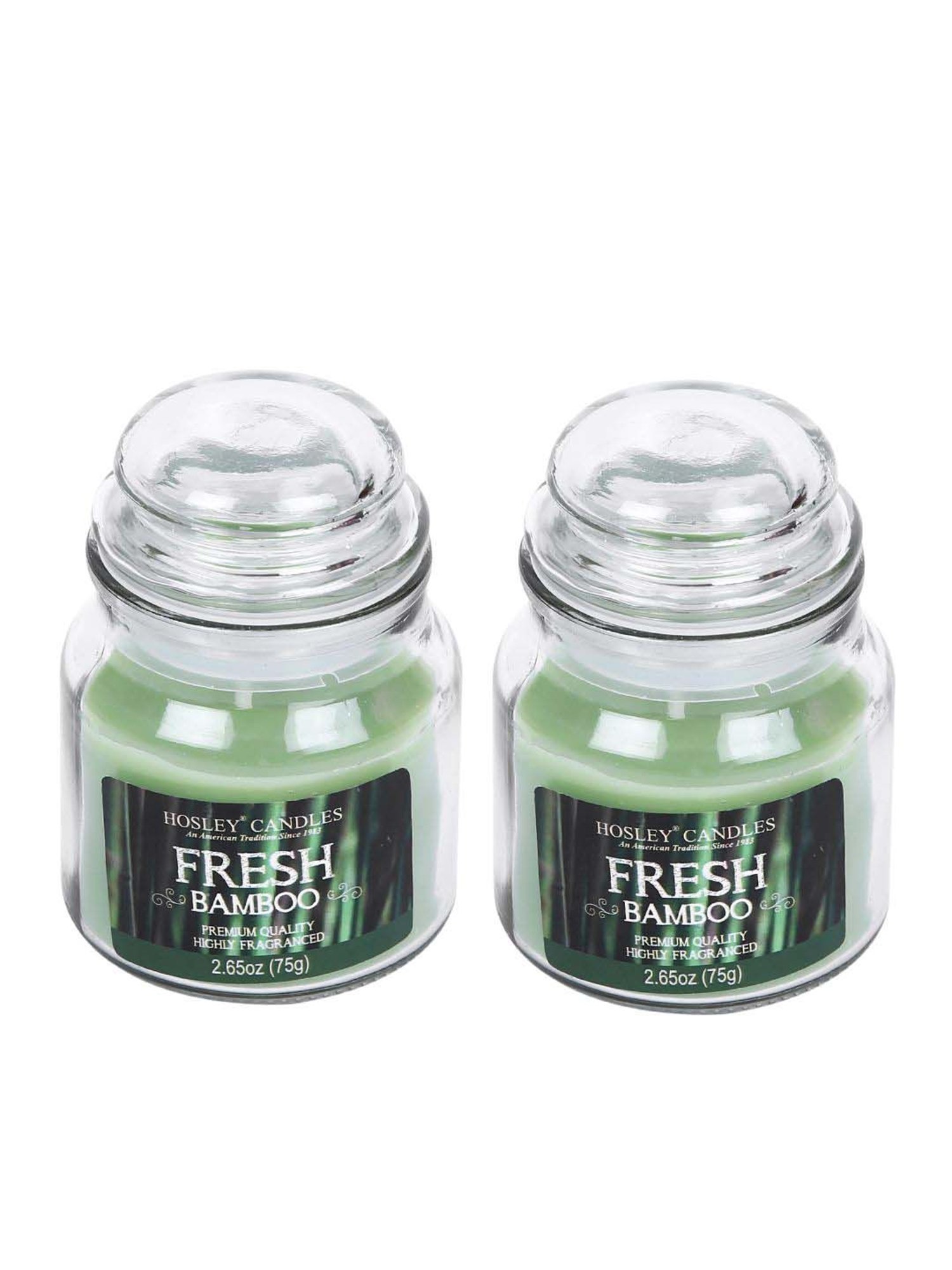 HOSLEY Green & Transparent Glass Candle - Set of 2