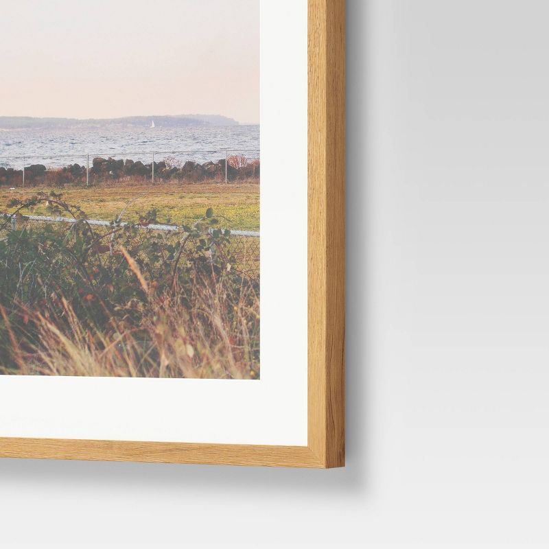 (Set of 2) 16" x 20" Landscape Photography Framed Wall Art Pink - Threshold™