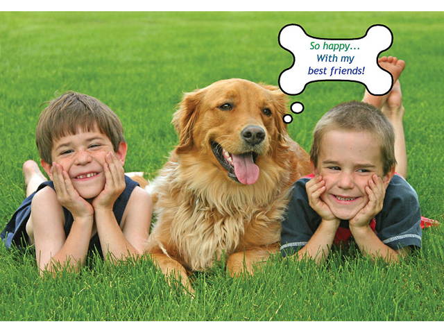 Individual Software PhotoStudio Expressions Platinum 6