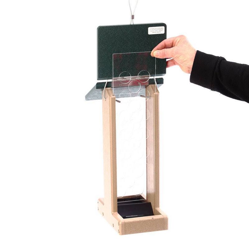 Birds Choice Whole Peanut Blue Jay Bird Feeder with Green Roof