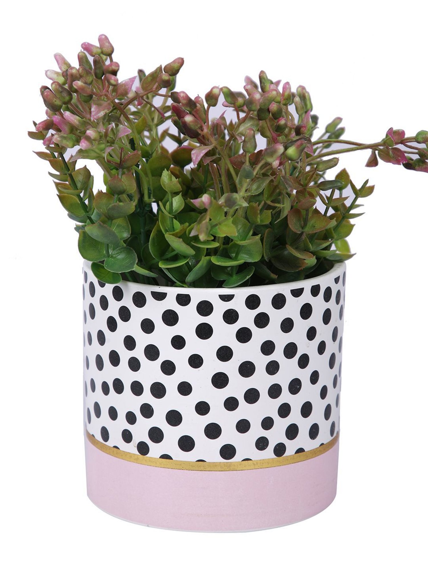 Tayhaa Black & Pink Ceramic Planter