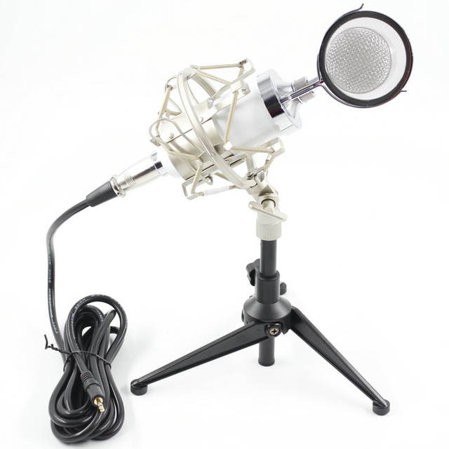 BM 8000 Professional Condenser Microphone bm8000 Audio Studio Vocal recording for Computer karaoke