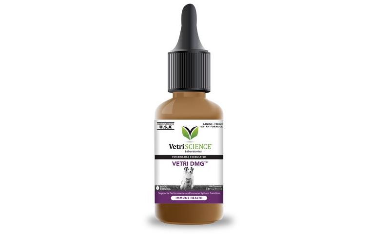 Vetriscience Laboratories Vetri-DMG Immune Health Dog, Cat, & Bird Liquid Formula - 3.85 fl oz dropper