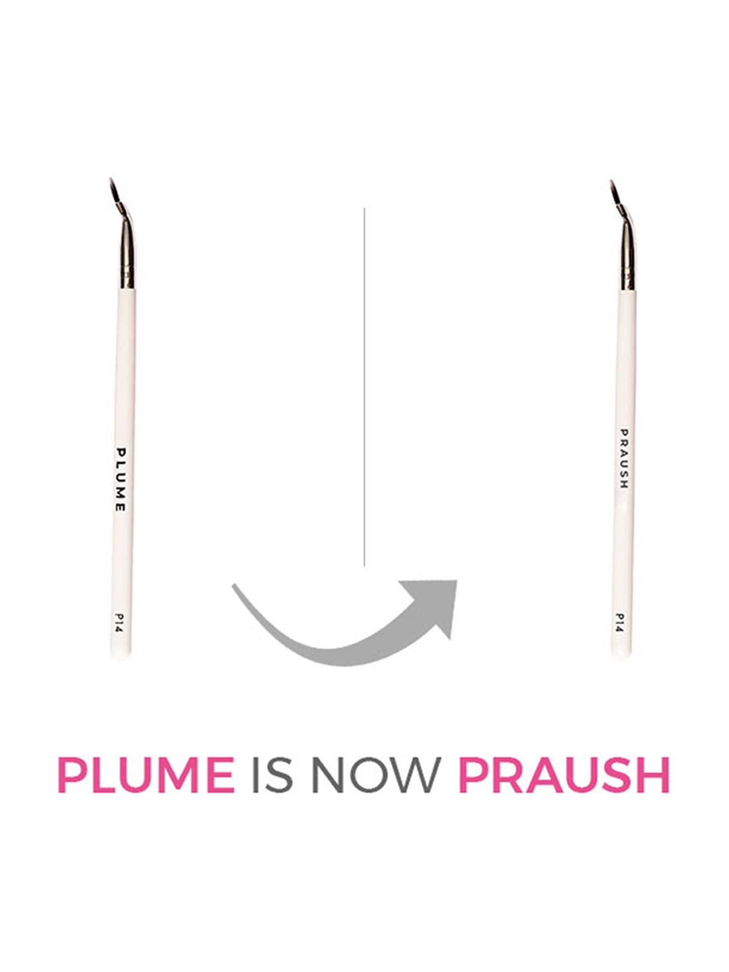 Praush Fine Eyeliner Brush - P14