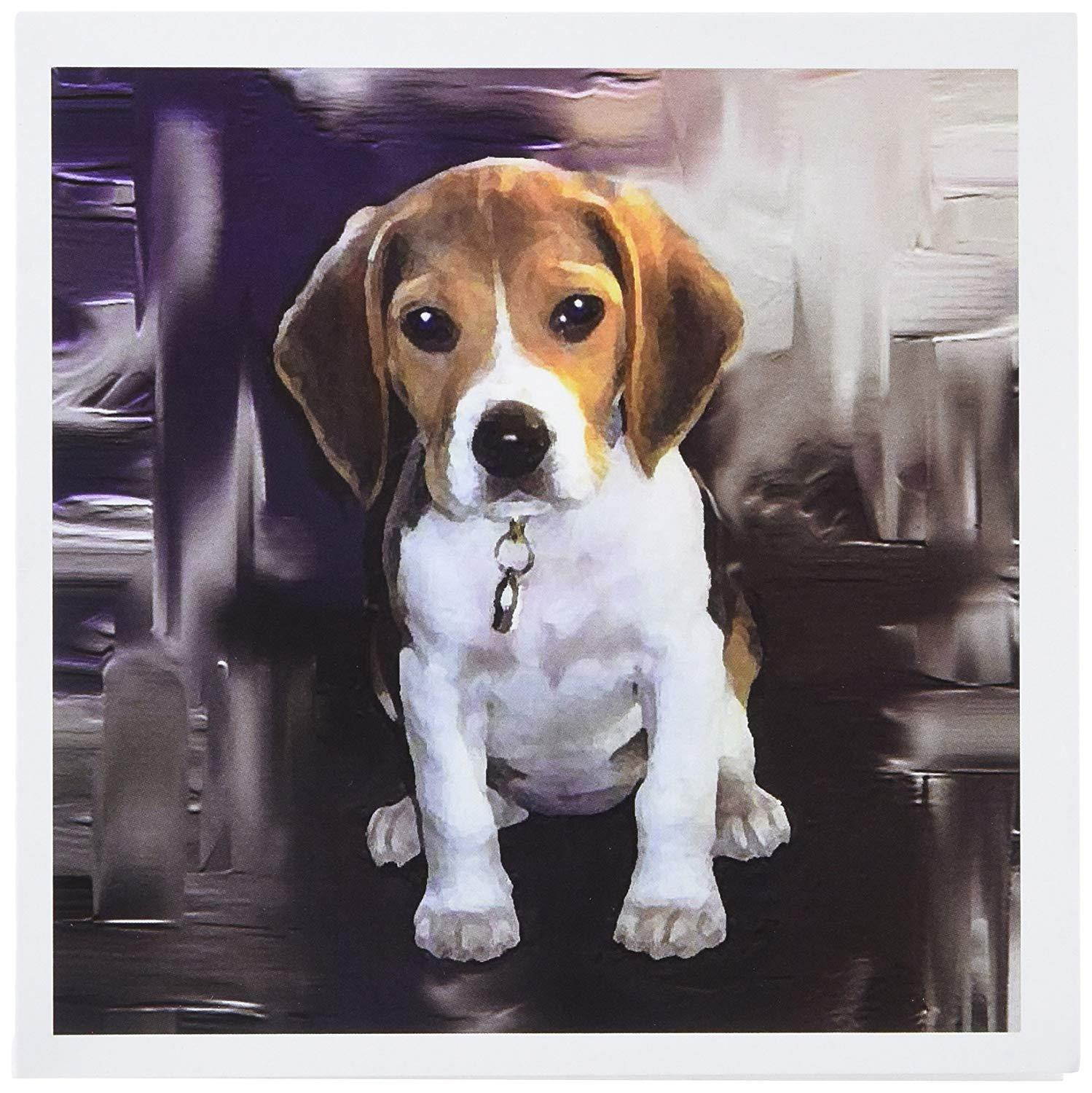 3dRose Beagle - Greeting Cards, 6 x 6 inches, set of 12 (gc_4021_2)