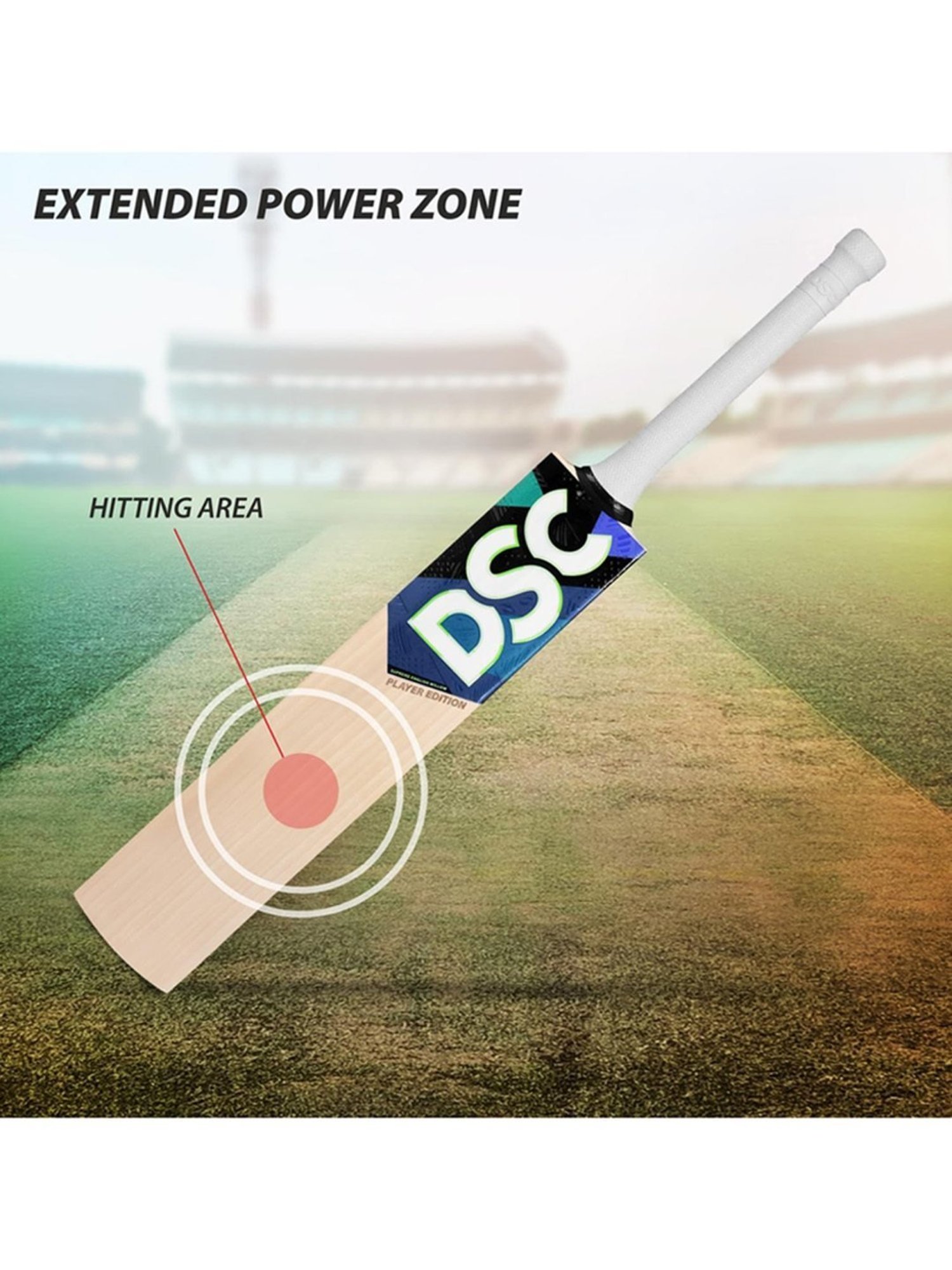 DSC BLU (Player Edition) English Willow Cricket Bat Size - 5