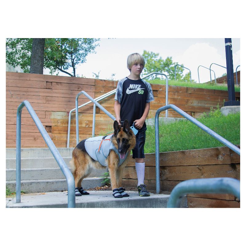 Royal Animals Dog Raincoat - Yellow - S