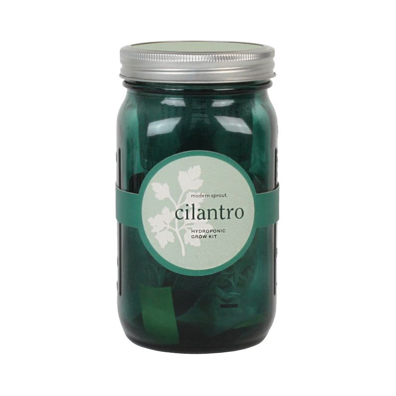 Modern Sprout Glass Jar Grow Set - Basil + Cilantro