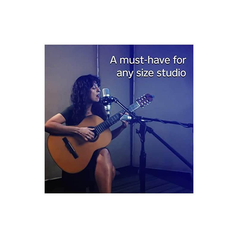 TM80 Large Diaphagm Condenser Microphone