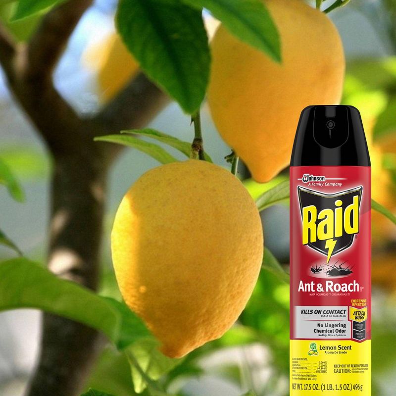 Raid Ant & Roach Killer 26 - Lemon Scent - 17.5oz