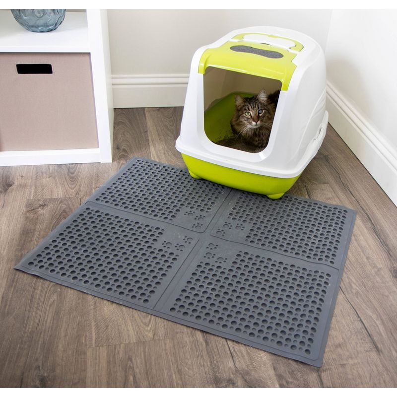 SmartyKat Odor Erase Cat Litter Absorber - 2pk